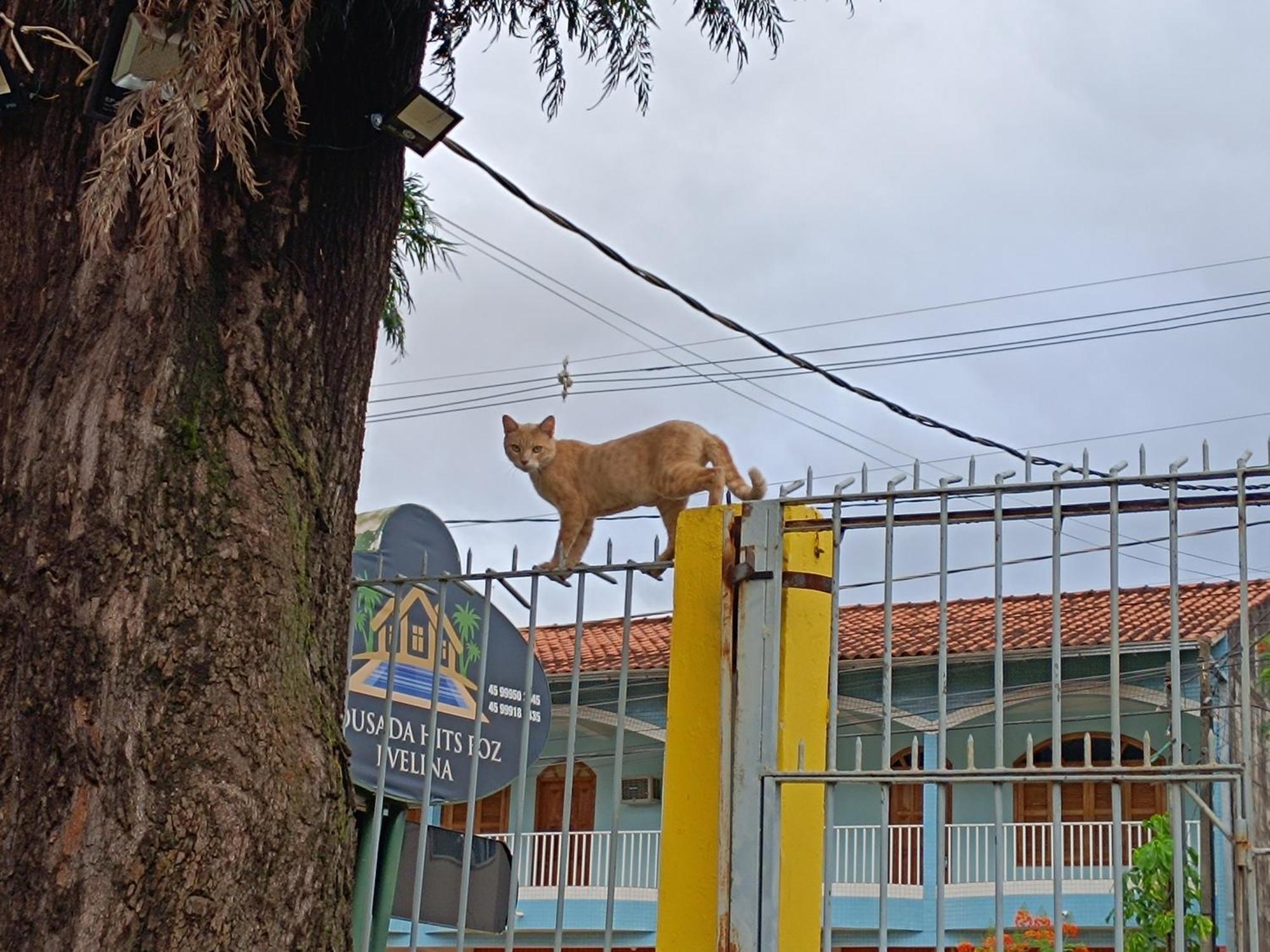 Pousada Evelina Foz do Iguaçu Dış mekan fotoğraf